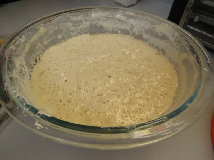 Happy first birthday, sourdough starter! (Those bubbles are yeast farts.)